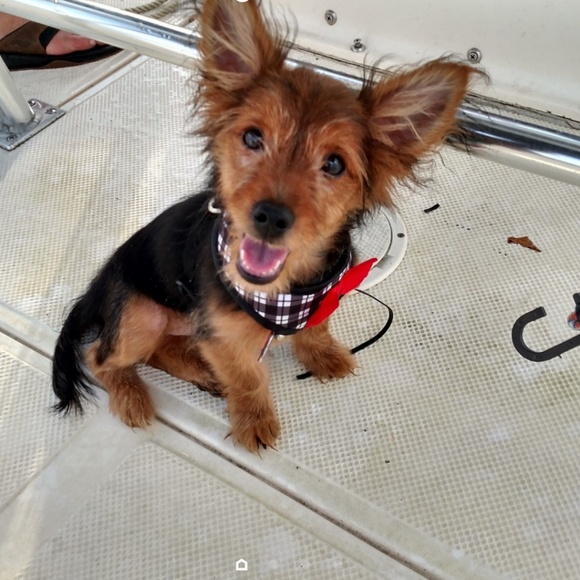 Meet your Posher, Hillary - Picture 1 of 1